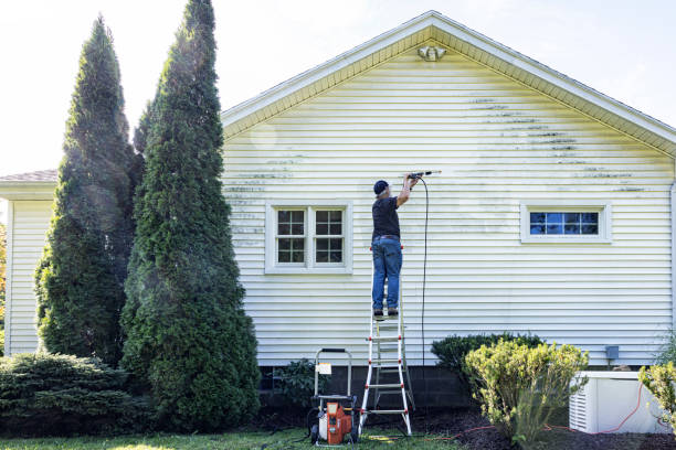 Best Concrete Surface Cleaning in Gulf Park Estates, MS